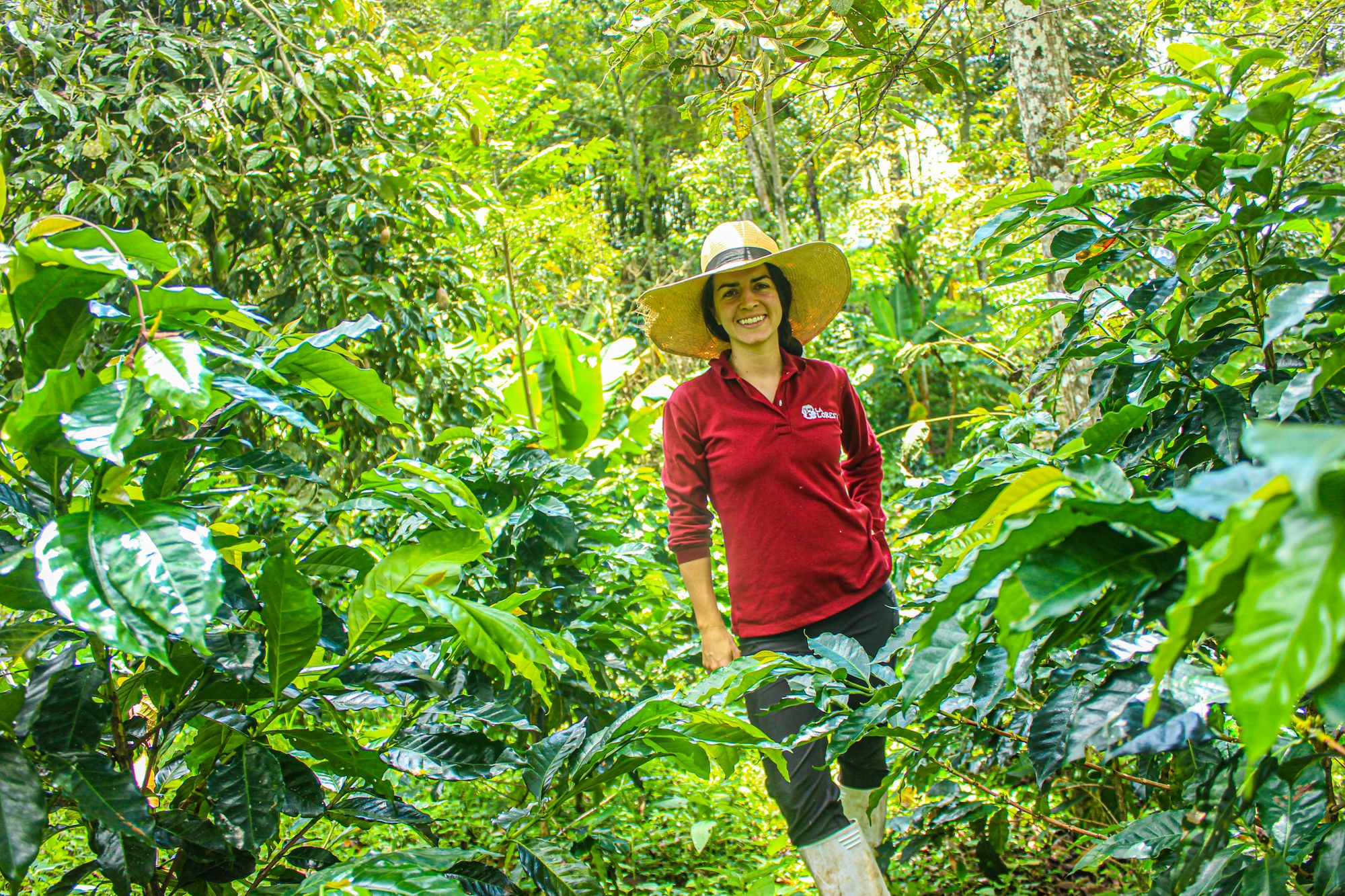 Sustainable and Quality Coffee - Pure Heart