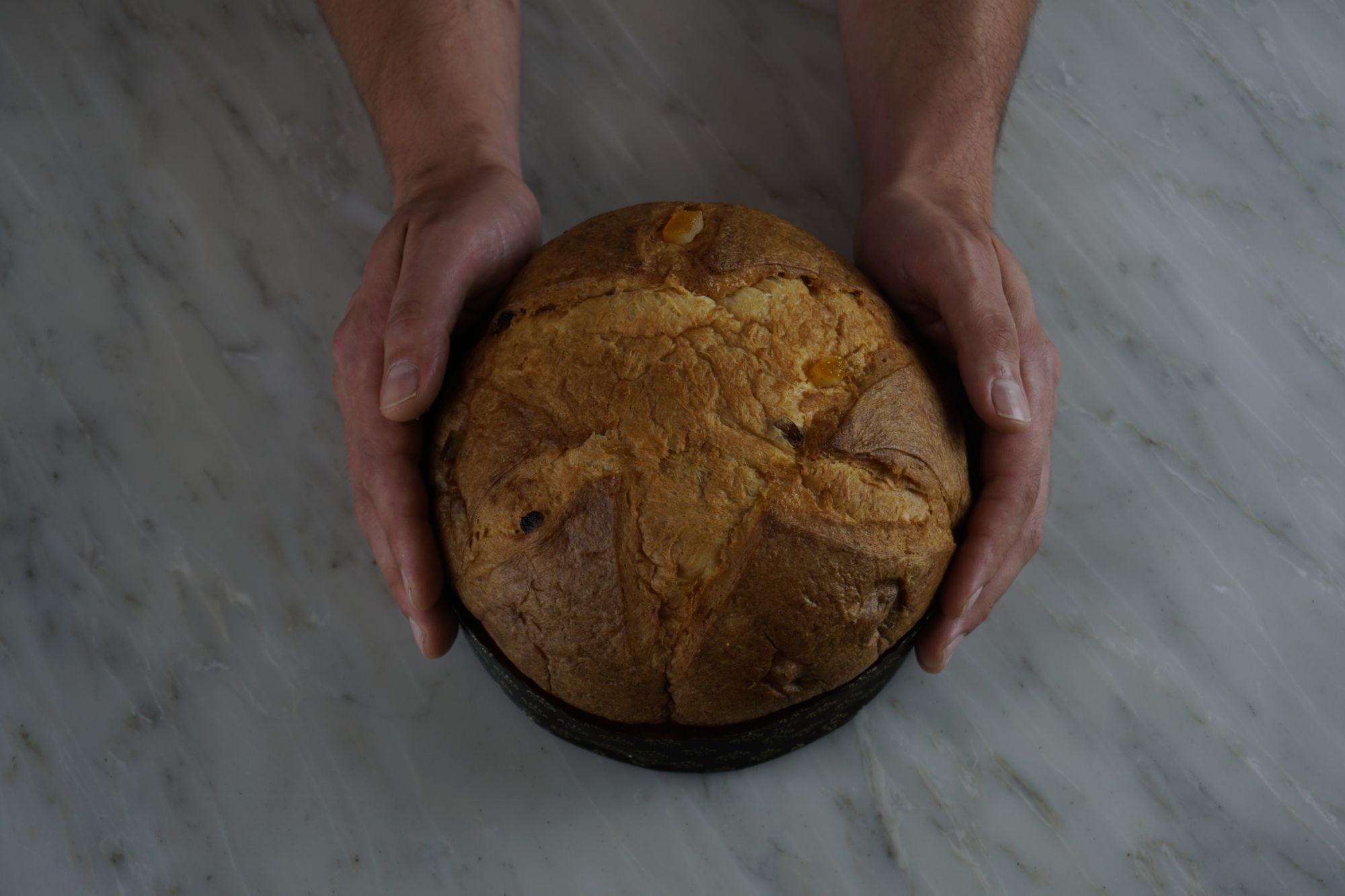 Expertly Crafted Panettone Made Fresh to Order - Antise Vancouver