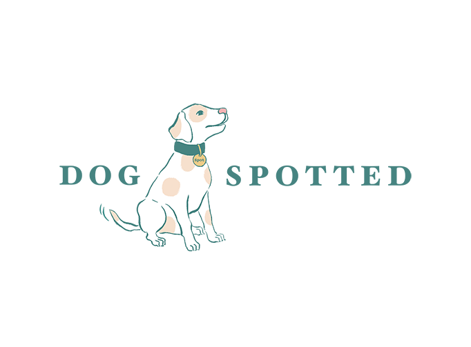 Your Hub for the Latest Everything Dog-Related - Dog Spotted
