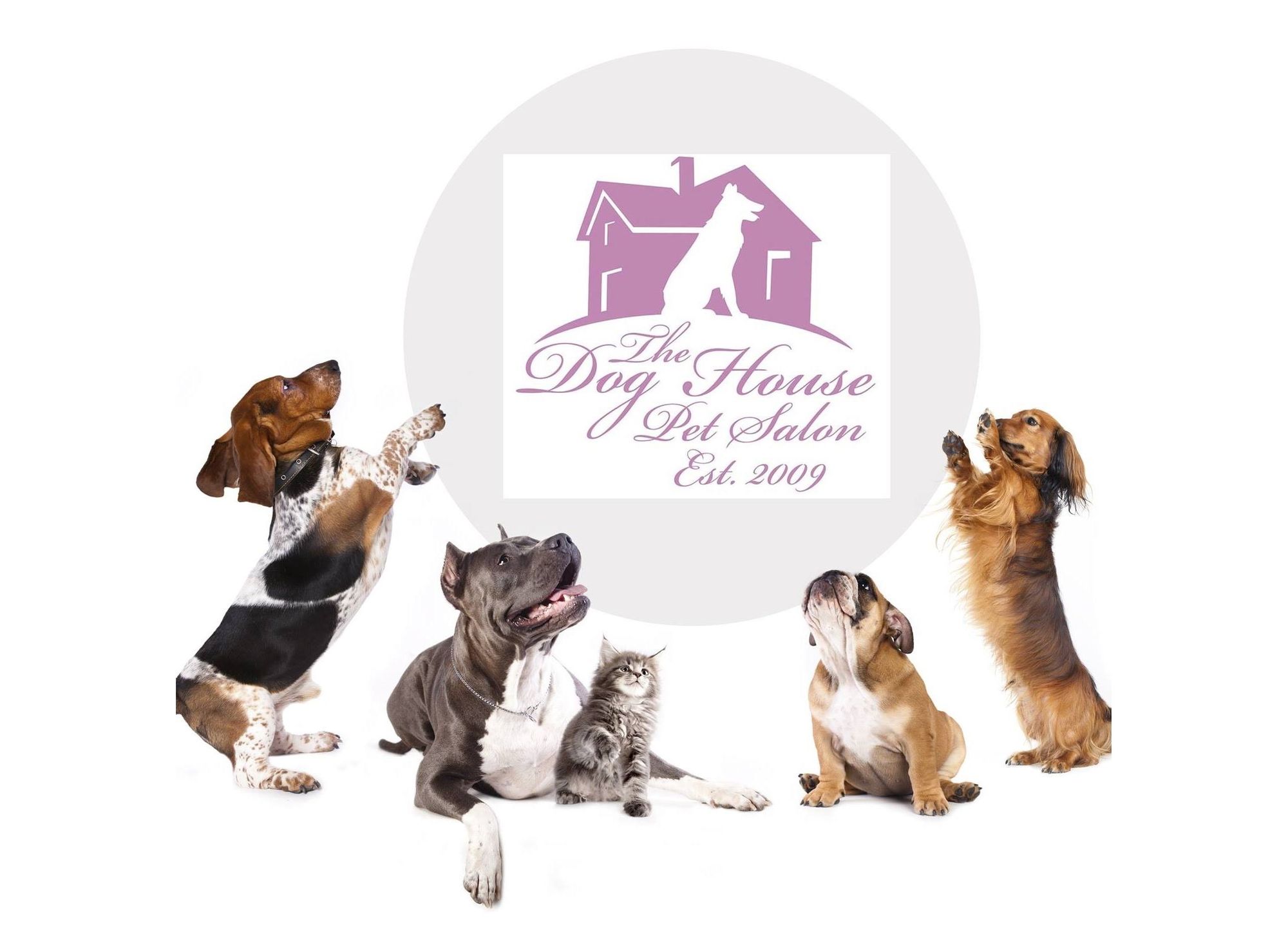 We Take Care of Your Pets - The Dog House Pet Salon