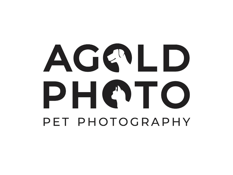 Tampa's Luxury Pet Photo Studio - AGoldPhoto Pet Photography