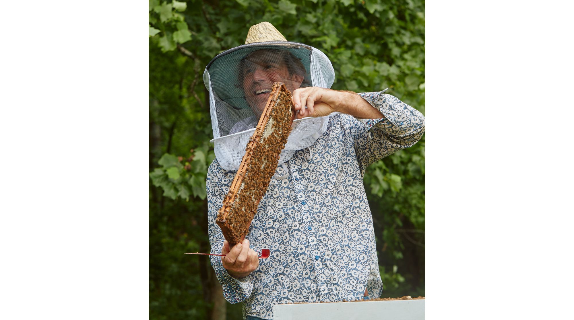 Save the Bees! - Savannah Bee Company