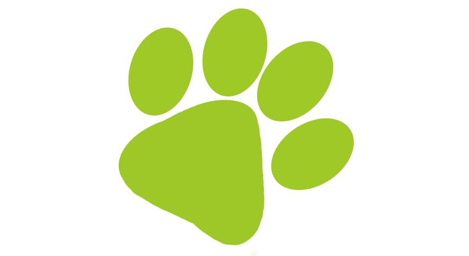 Balanced Approach to Pet Care - Take Paws Madison