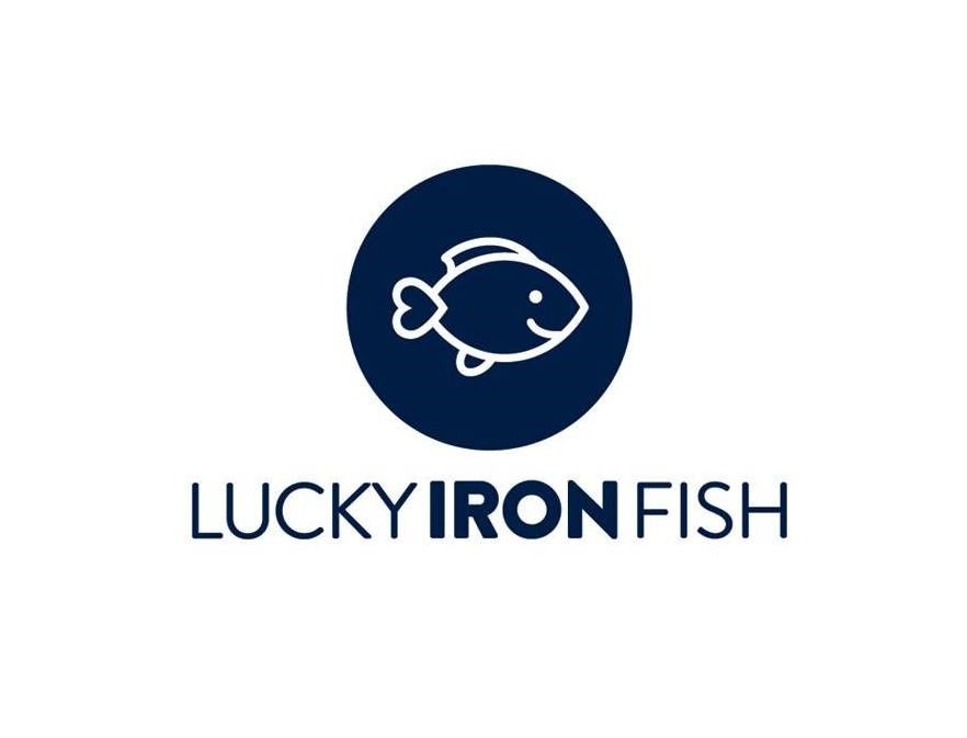 Boosting Your Iron Levels Just Got Easier - Lucky Iron Fish
