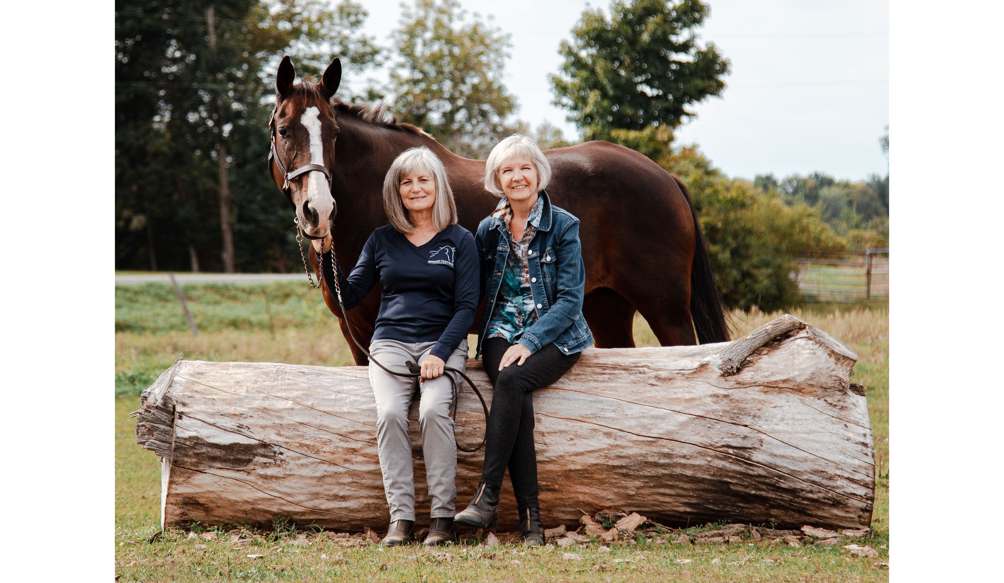 Corporate and Life Coaching With Horses - Unbridled Coaching