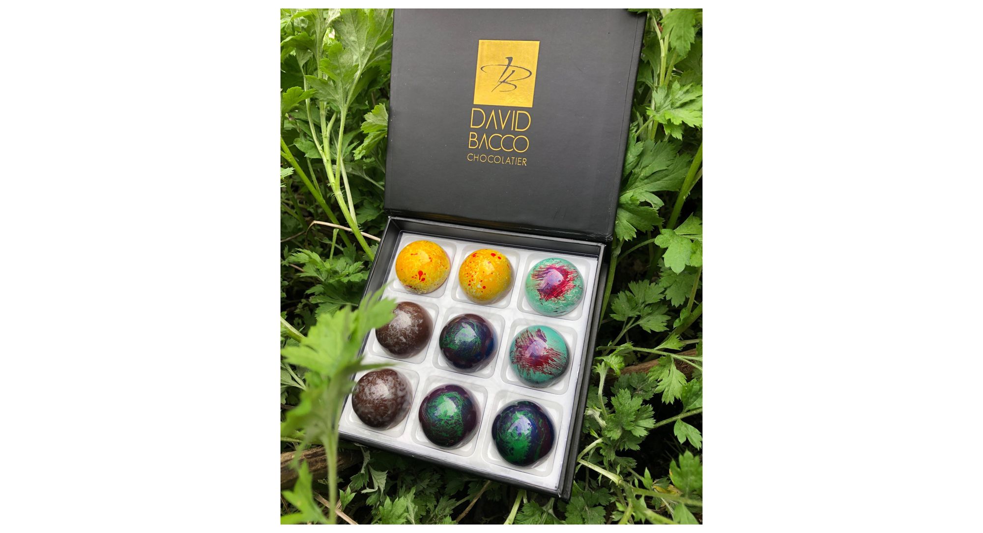 Handmade Artisan Chocolates - David Bacco Chocolatier