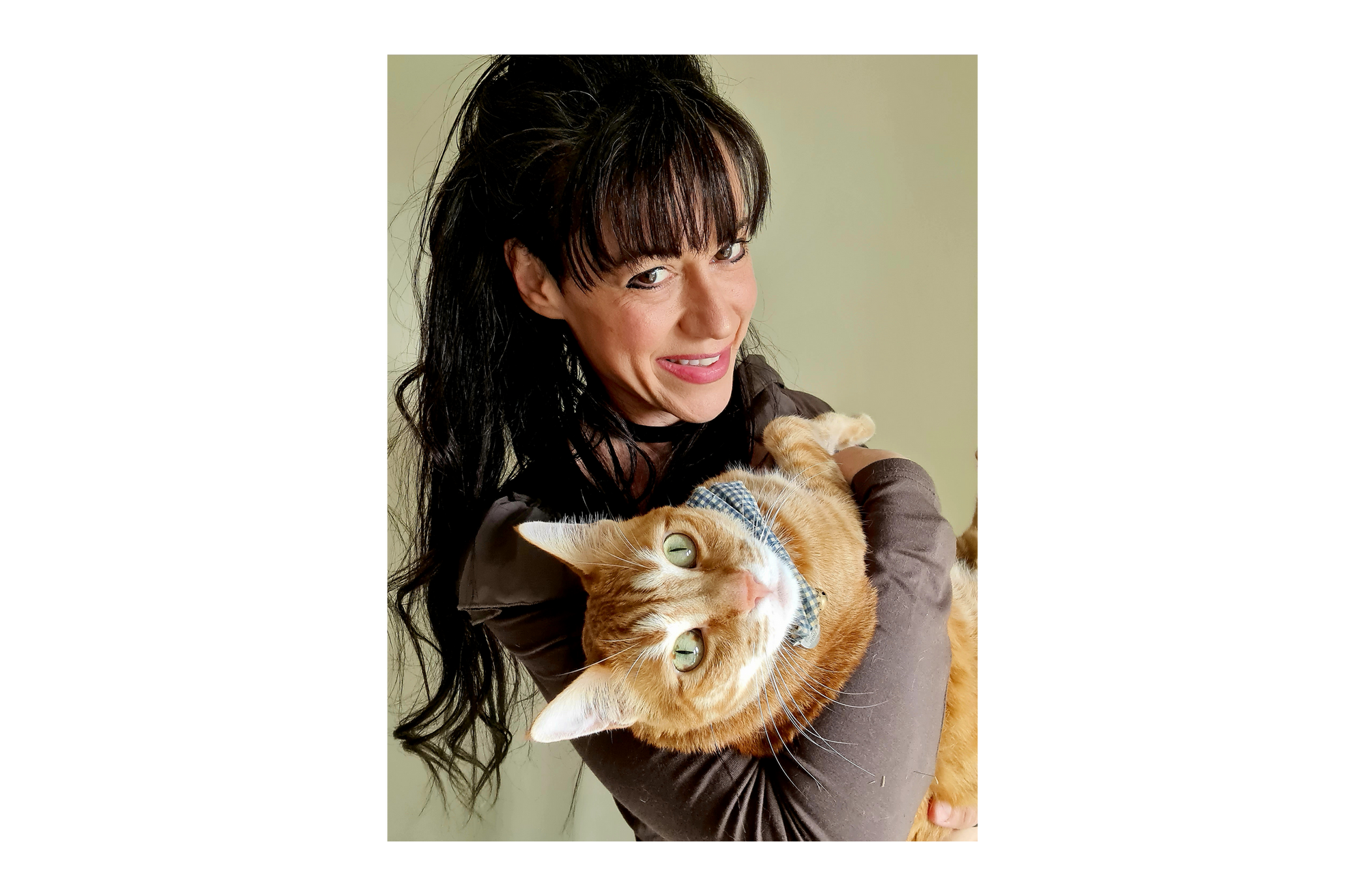 Boost Your Cats' Wellbeing - The Holistic Cat Specialist