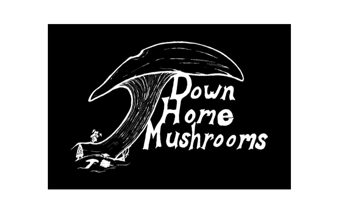 Highest Quality Gourmet Mushrooms - Down Home Mushrooms