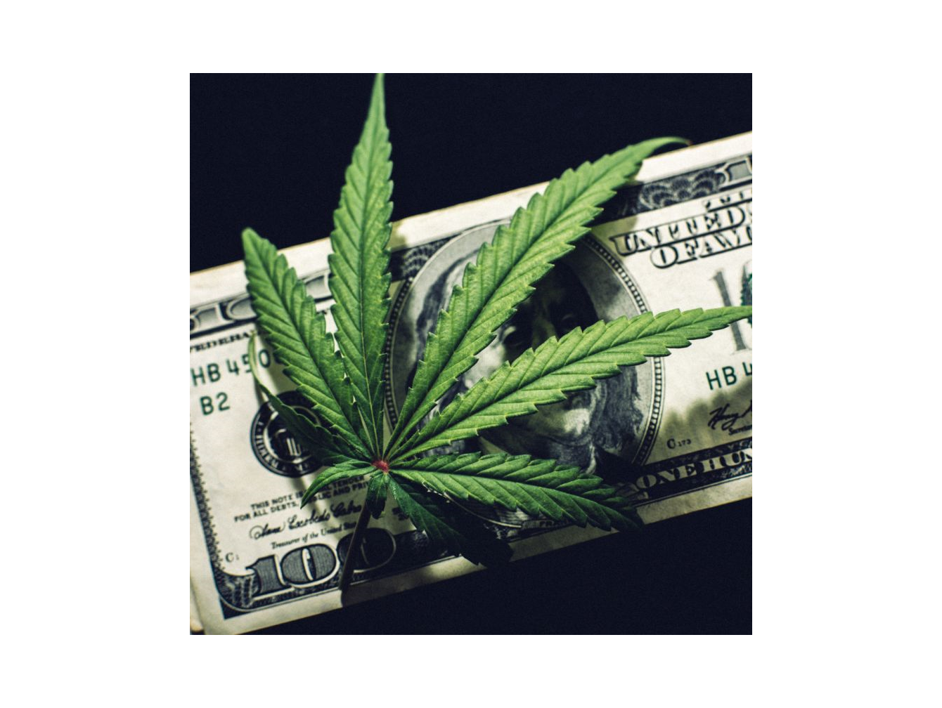 Cannabis Real Estate Financing - Carpenter Financial Services