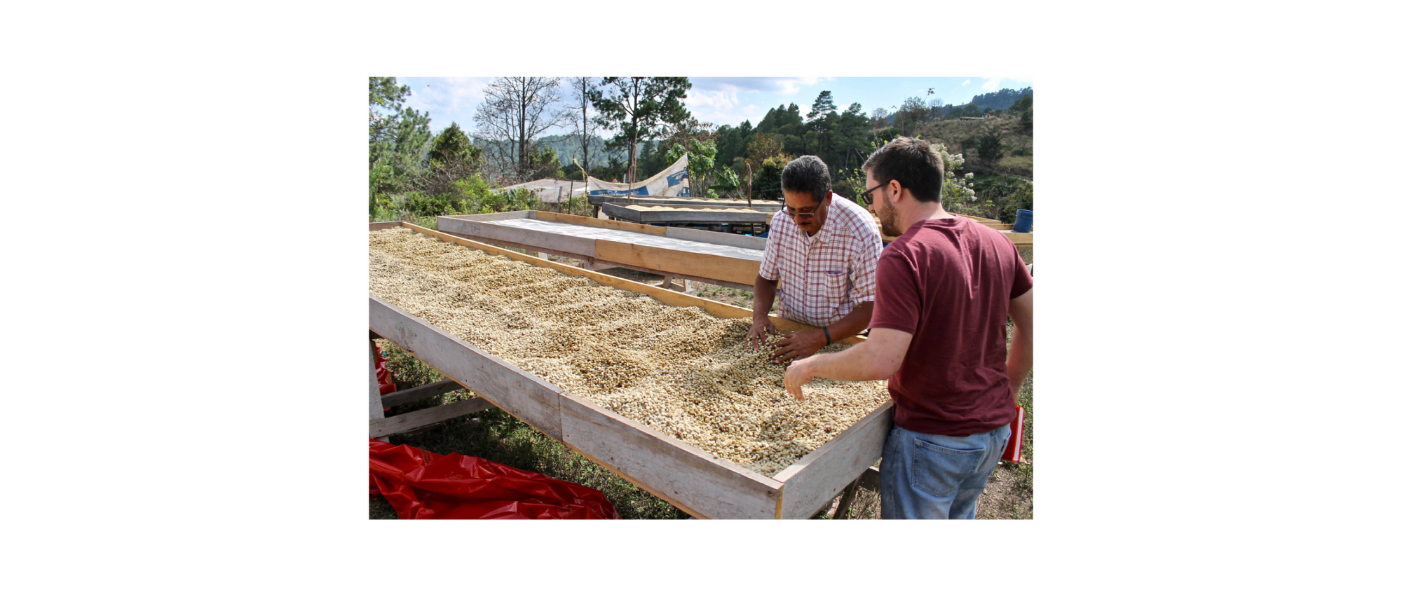 Enriching the World of Coffee - Honduran Coffee Alliance