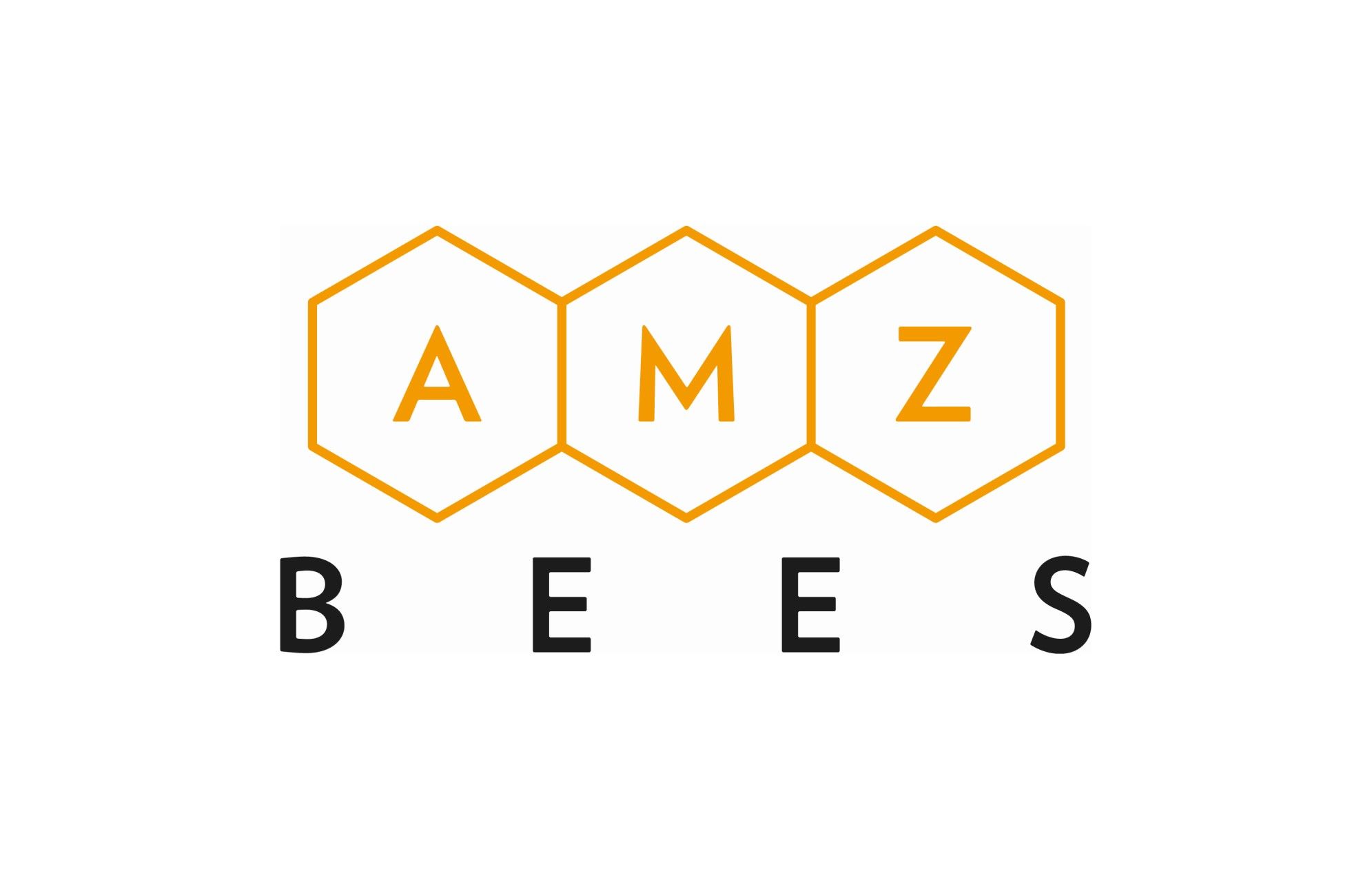 Full Amazon Account Management - AMZ Bees
