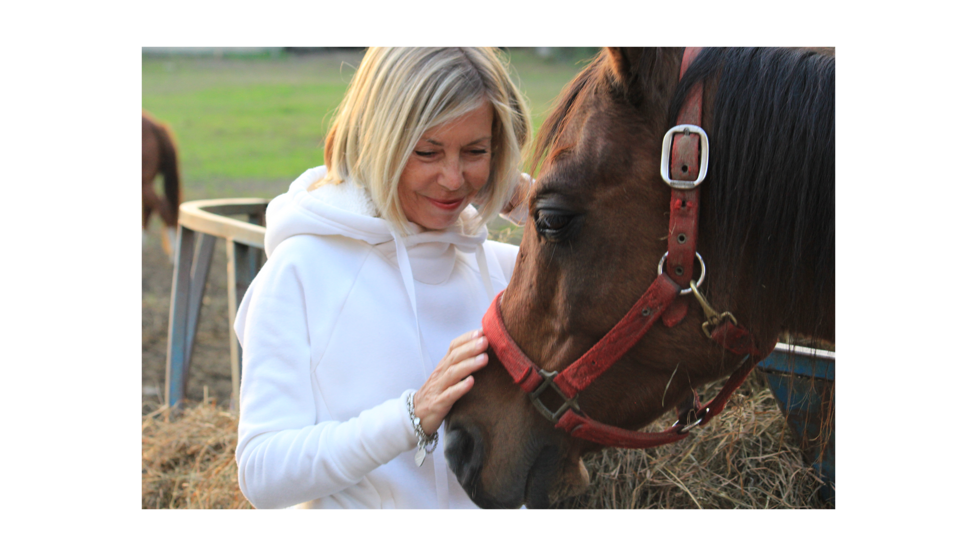 Equine Assisted Therapy - Institut du Ressenti