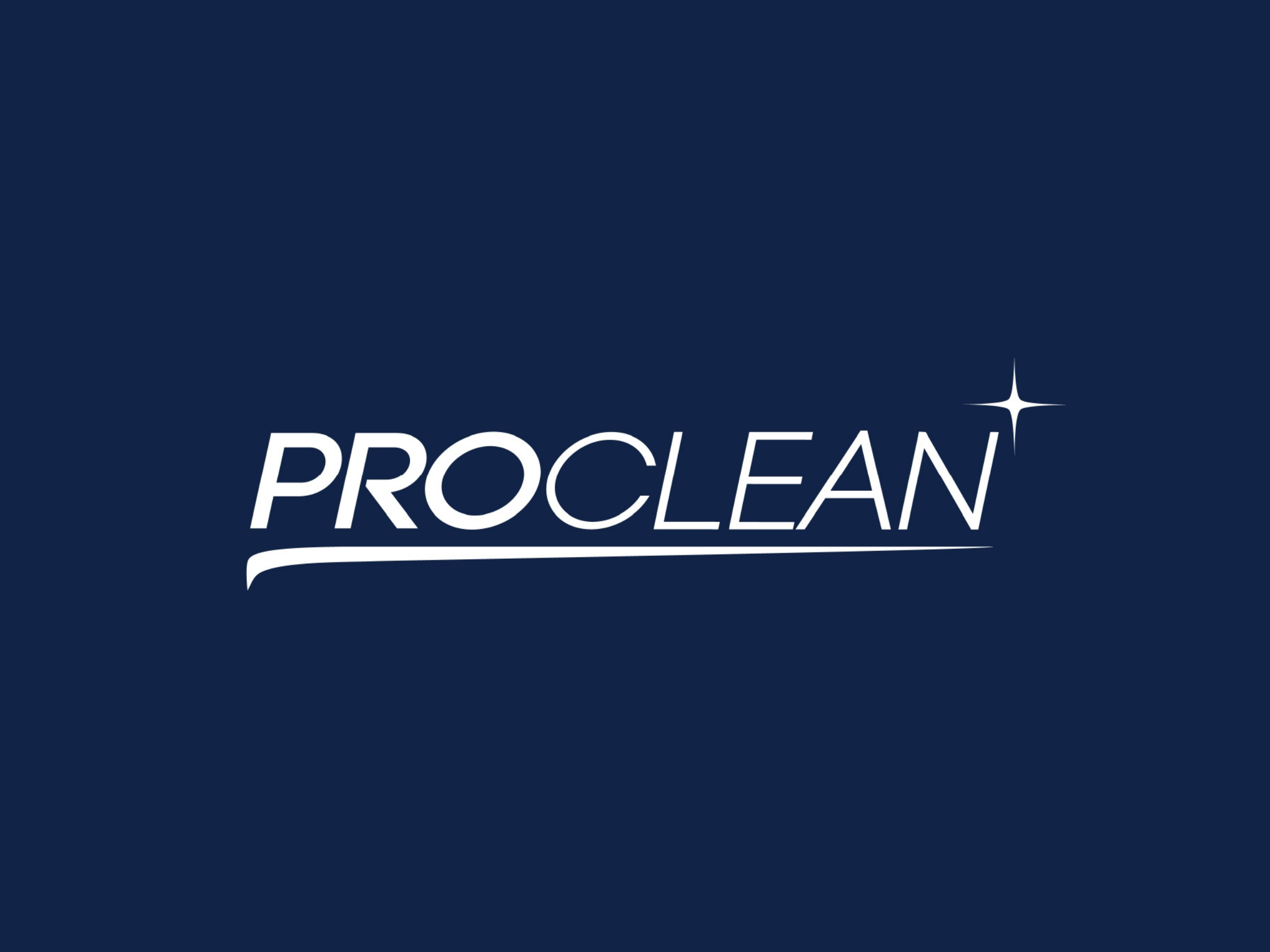 Affordable but Professional - Proclean
