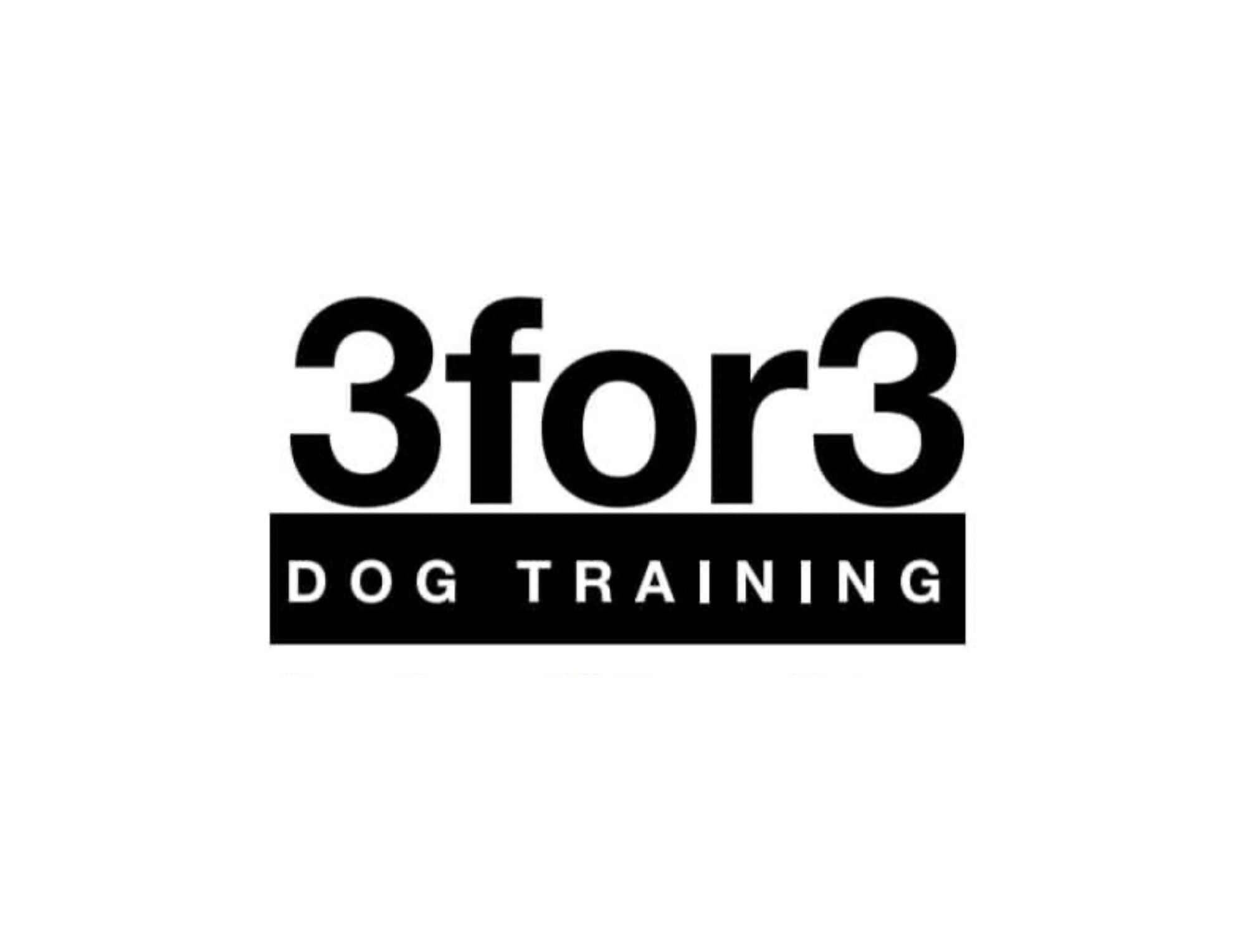 3for3 Dog Training - Beat Kaestli