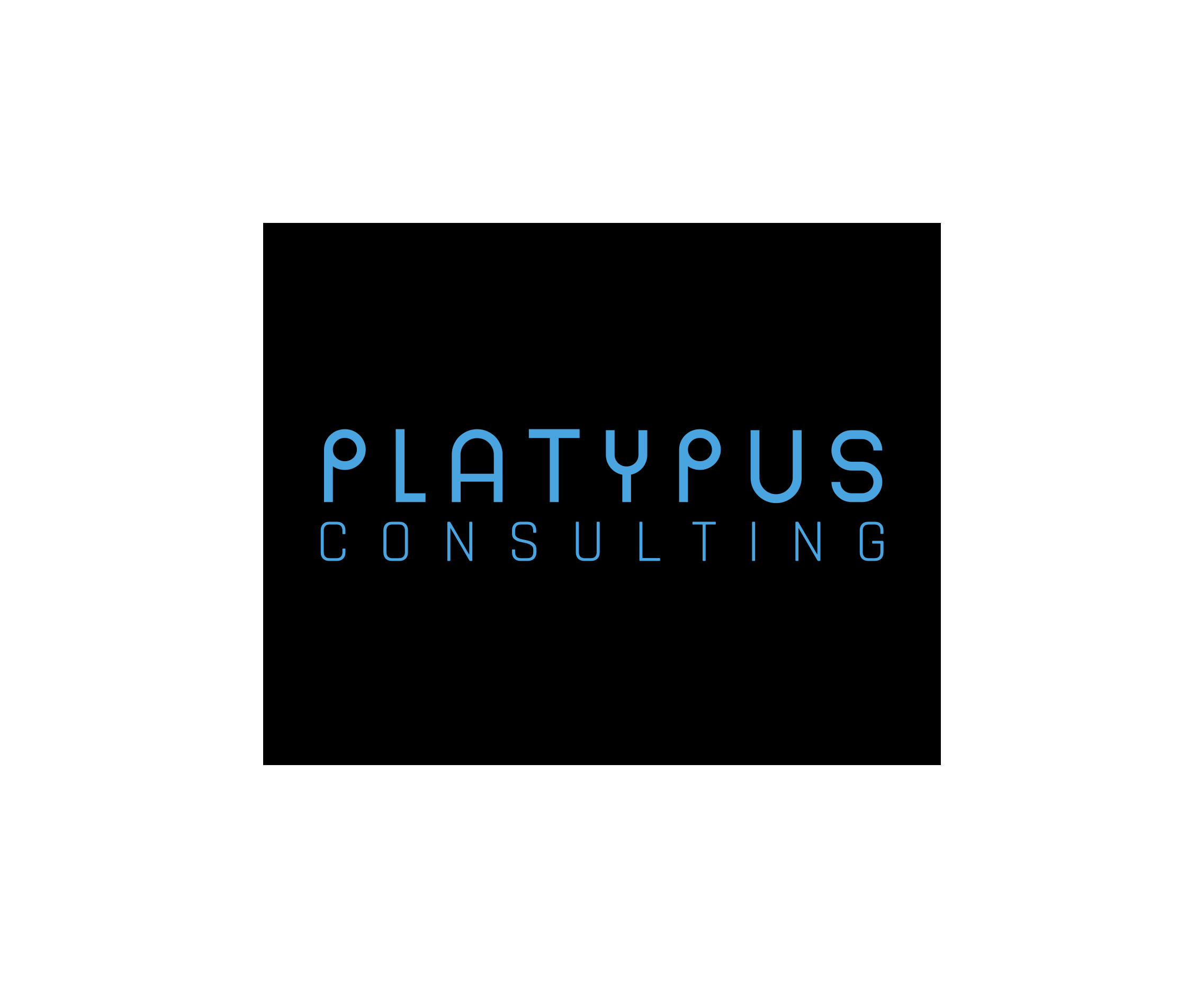 Reach Your Unique Goals - Platypus Consulting