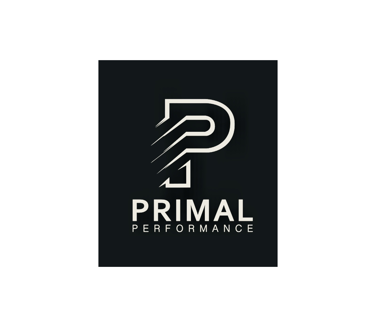 Become a Stronger You - Primal Performance Coaching
